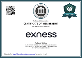 Discover the Benefits of Bonus No Deposit Exness 12
